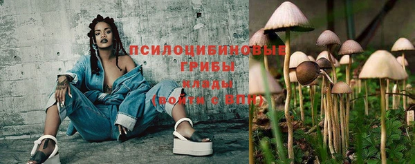 эйфоретик Арсеньев