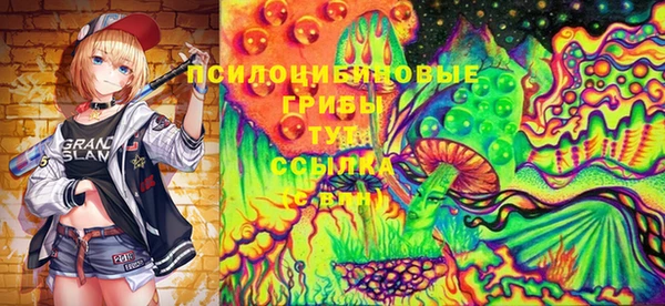 эйфоретик Арсеньев