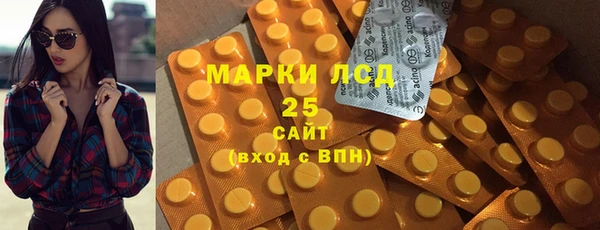 крисы Аркадак