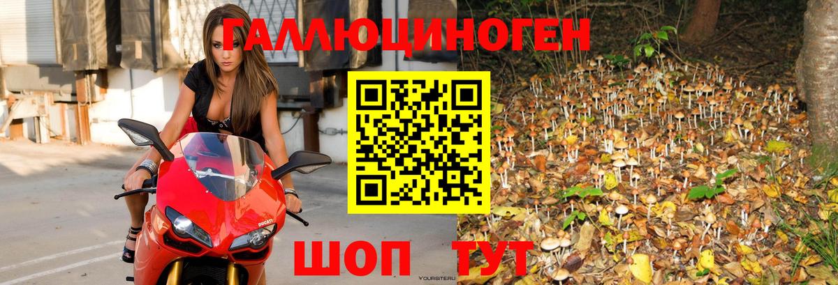 Галлюциногенные грибы мухоморы Сибай